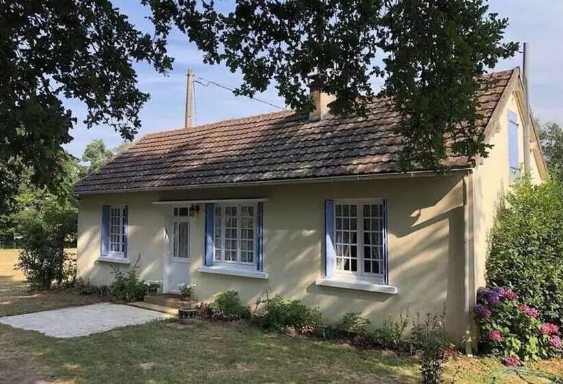 Charming House With Fireplace