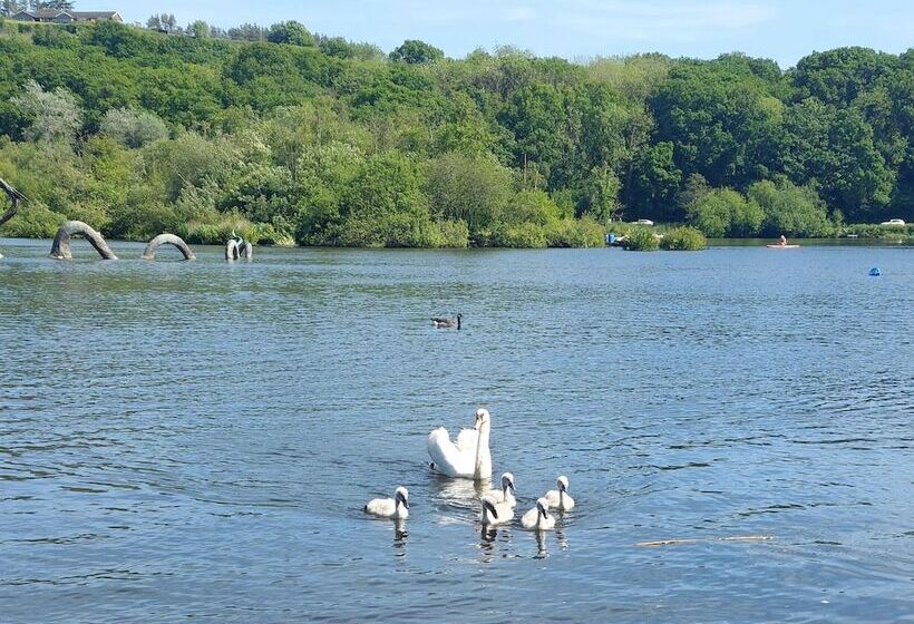 Отель Number 8 Buttercup Lodge Caer Beris