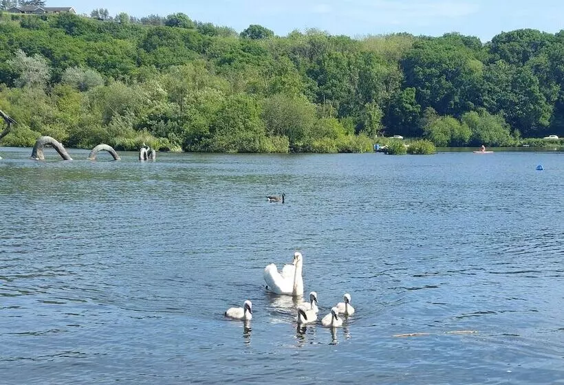 Hotelli Number 8 Buttercup Lodge Caer Beris