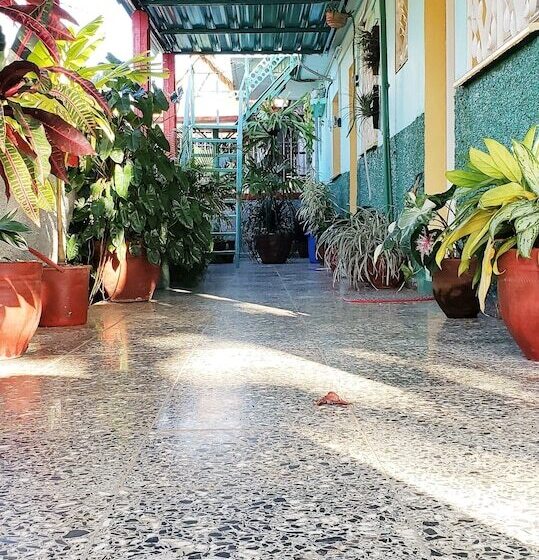 پانسیون Casa Nene