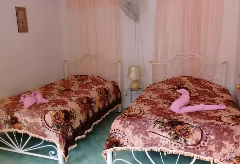 ペンション Hostal La Casona De Santa Rita