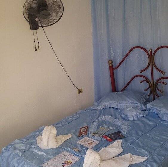 تختخواب و صبحانه Hostal Luly Y Rene