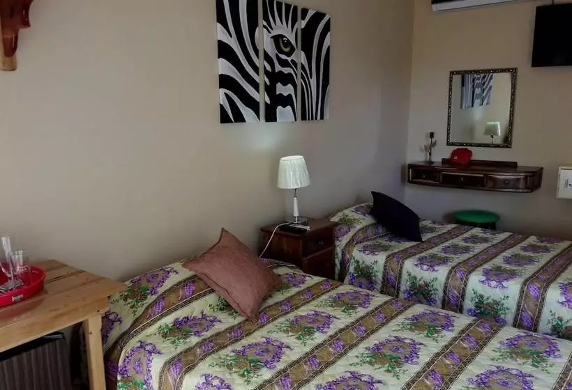 ペンション Hostal Olivia Boca De Camarioca