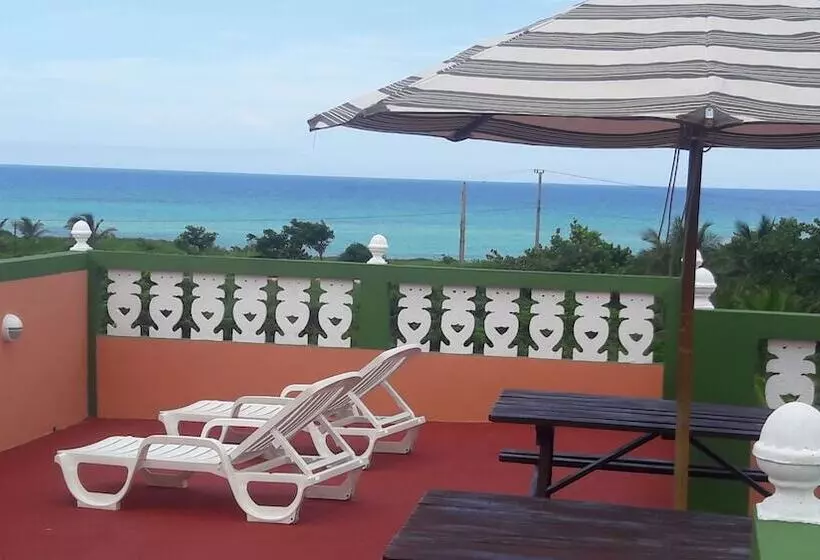 ペンション Hostal Olivia Boca De Camarioca