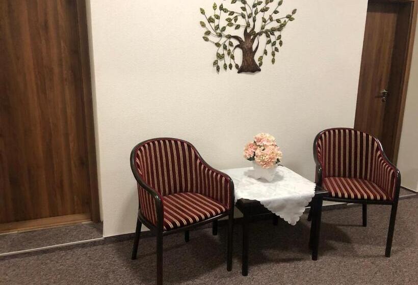 הוסטל Penzion B5