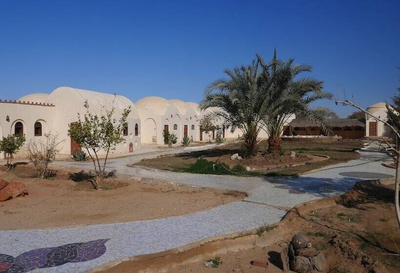 هتل Bawiti Oasis Resort