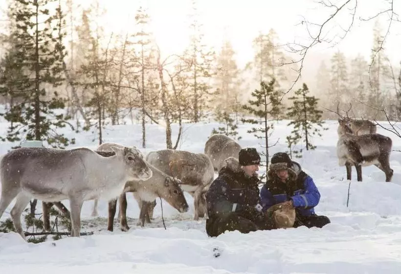 هتل Inari