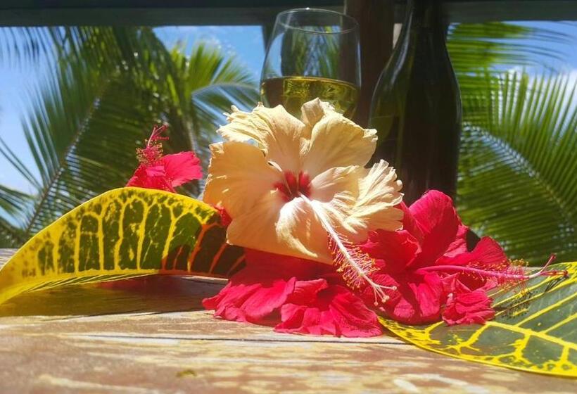 호텔 Matriki Beach Huts