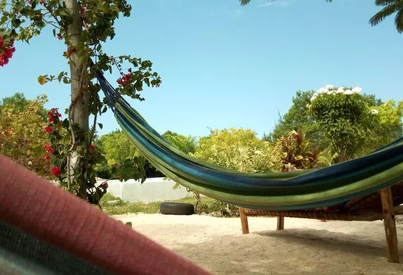 ホテル Mnana Lodge Kizimkazi