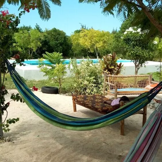 ホテル Mnana Lodge Kizimkazi
