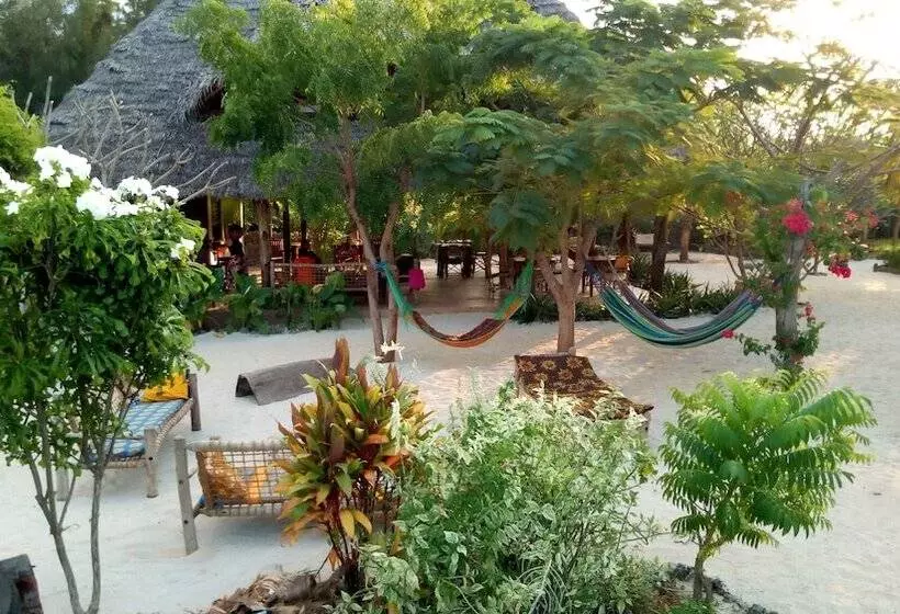 ホテル Mnana Lodge Kizimkazi