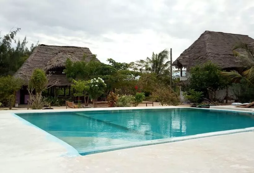 ホテル Mnana Lodge Kizimkazi
