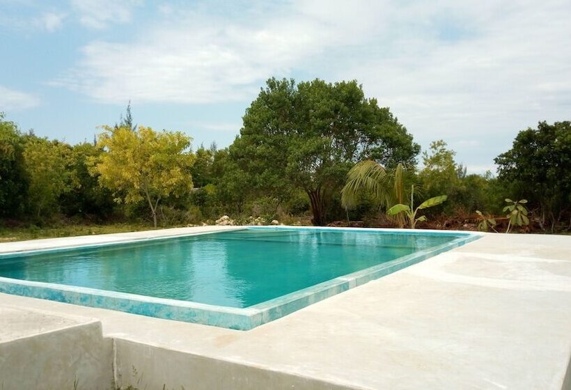 Hotel Mnana Lodge Kizimkazi