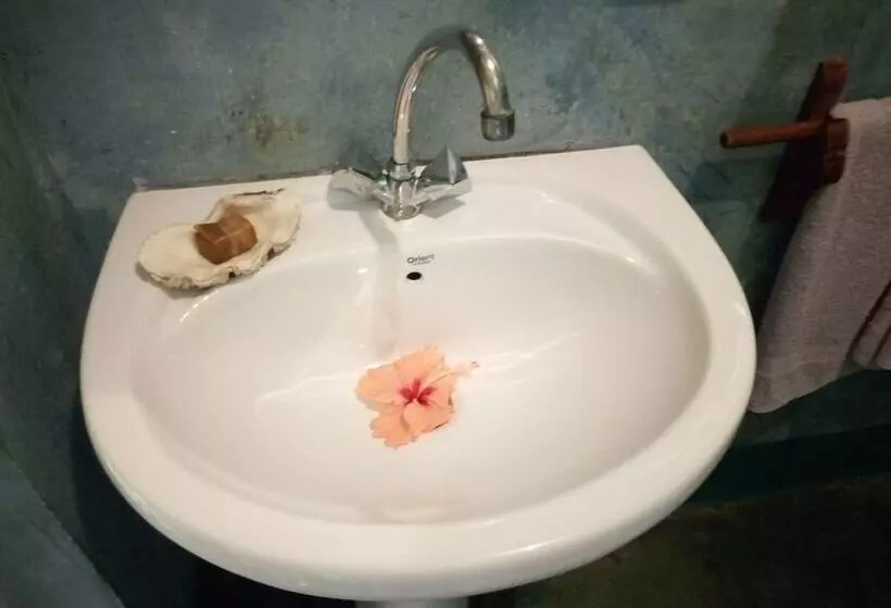 ホテル Mnana Lodge Kizimkazi