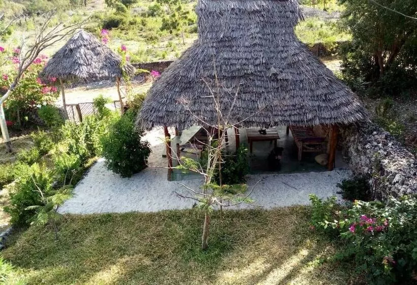 ホテル Mnana Lodge Kizimkazi