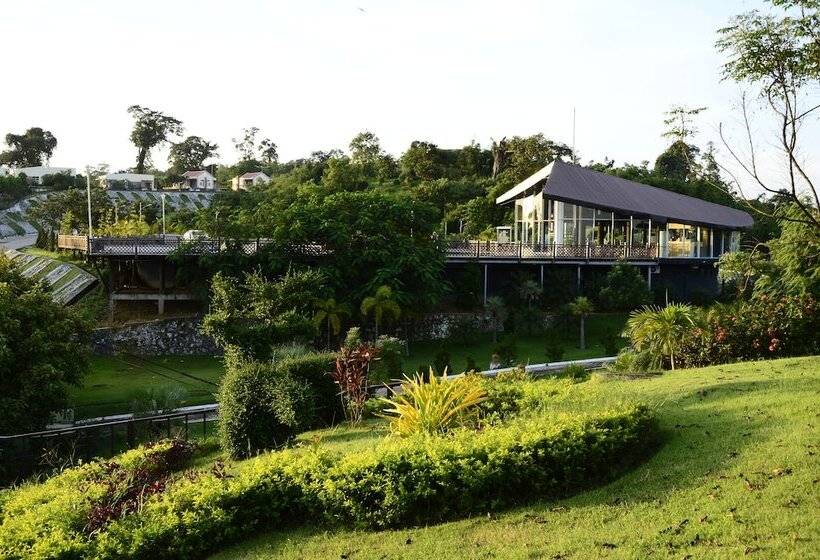 هتل Mount Pleasant