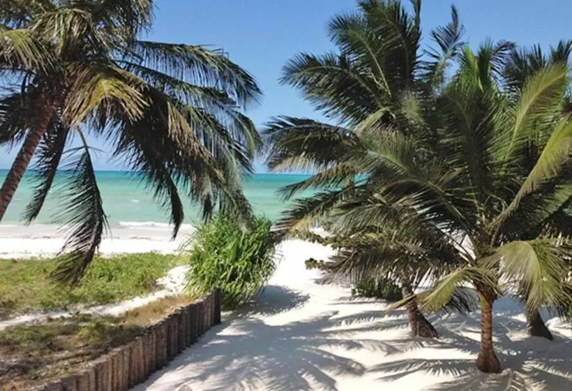 Pongwe Bay Resort