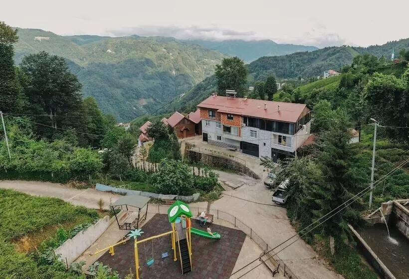 Aamiaismajoitus (B&B) Efedagsuit