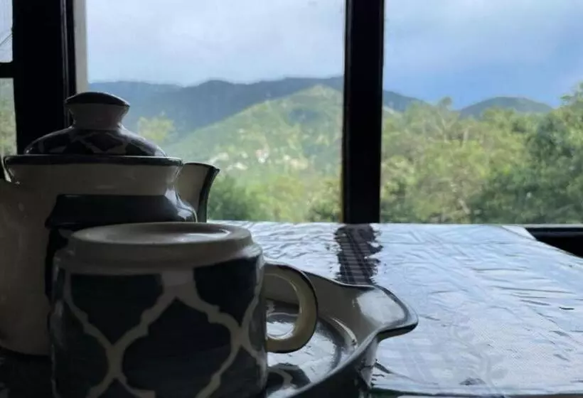 ベッドアンドブレックファースト Dalhousie Homestay