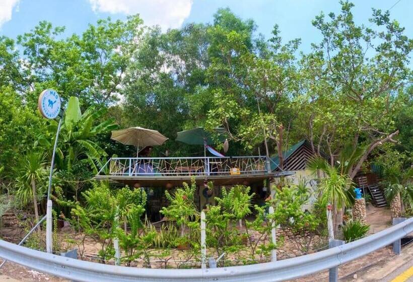 تختخواب و صبحانه Meo Homestay