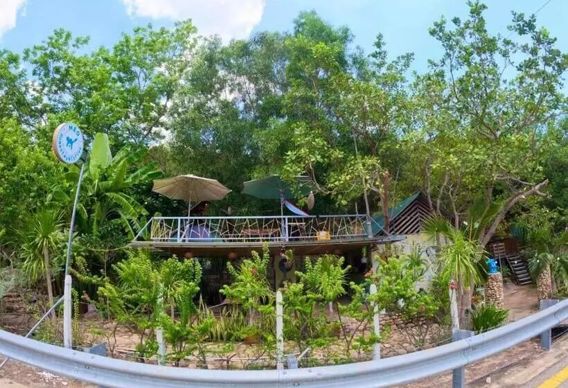 تختخواب و صبحانه Meo Homestay