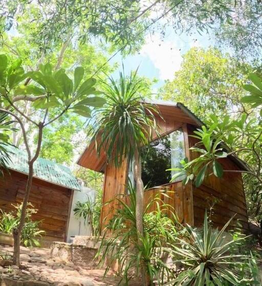 تختخواب و صبحانه Meo Homestay