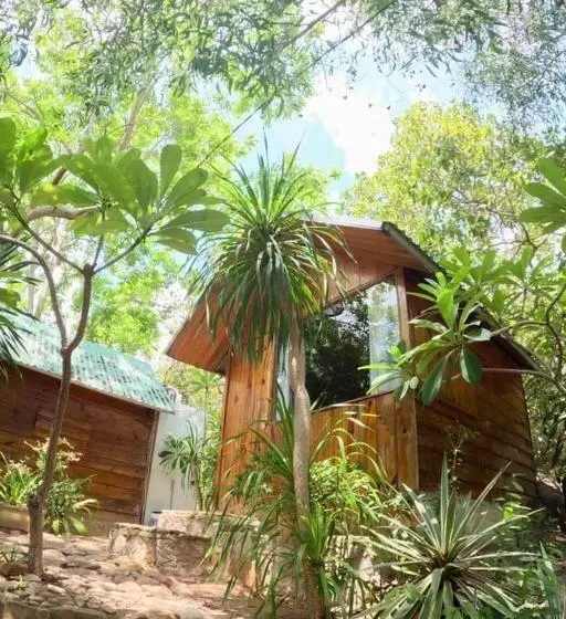 تختخواب و صبحانه Meo Homestay
