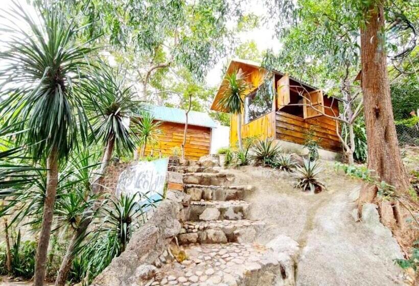 تختخواب و صبحانه Meo Homestay