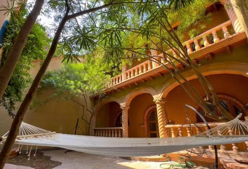 ホテル Casa Orquidea