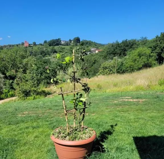 Majatalo Rdm Affittacamere