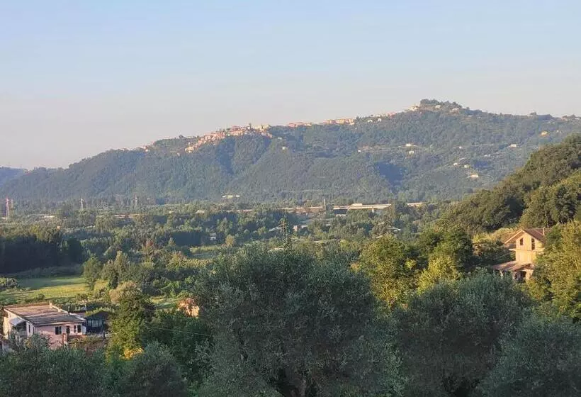 Majatalo Rdm Affittacamere