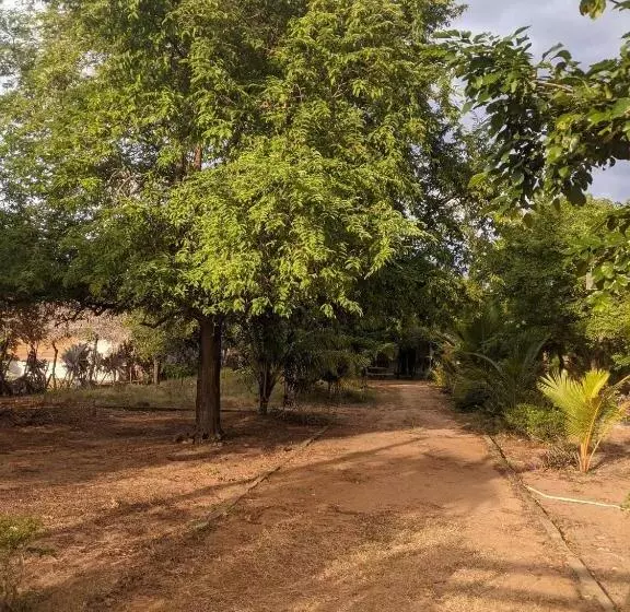 Majatalo Whisky Point Hotel Meera