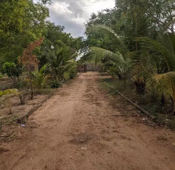 Majatalo Whisky Point Hotel Meera