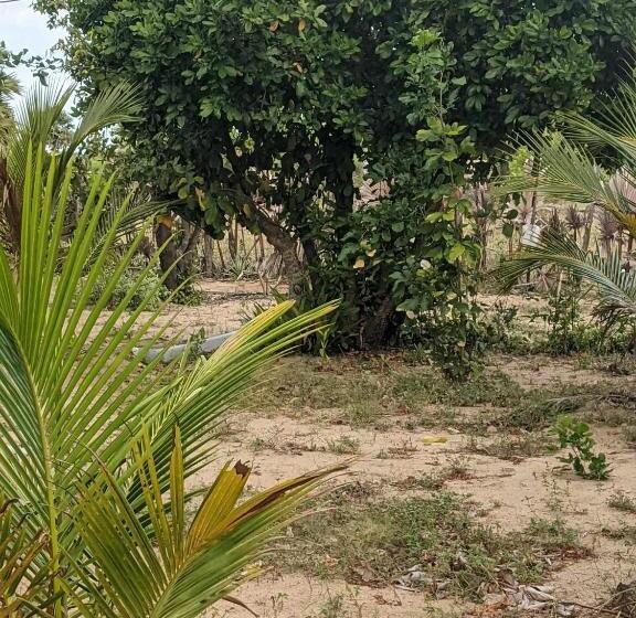 بنسيون Whisky Point Hotel Meera