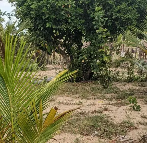 Majatalo Whisky Point Hotel Meera