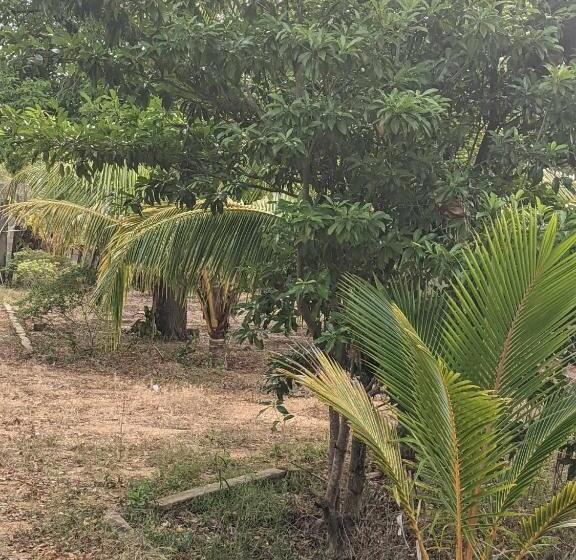 بنسيون Whisky Point Hotel Meera