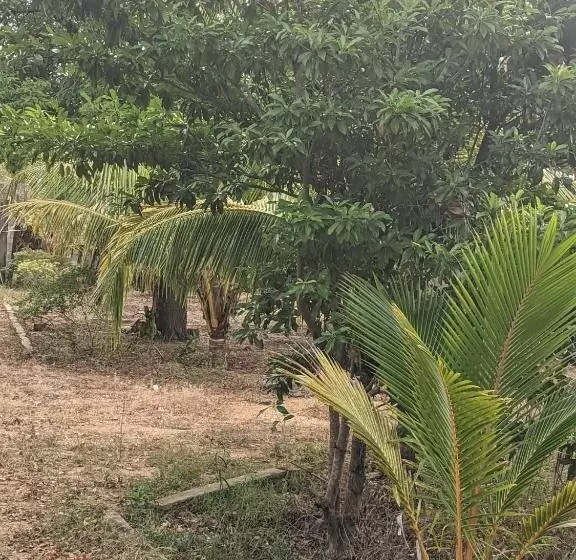 Majatalo Whisky Point Hotel Meera