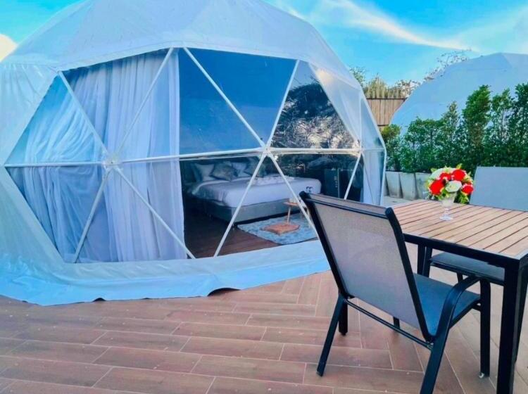 ユースホステル Papa Q Suite