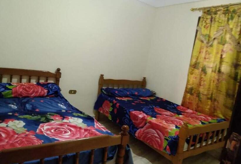 هاستل Simple Inn