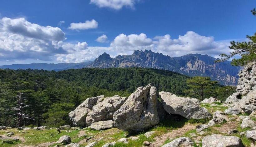 住宿加早餐  Chambres D Hôtes De La Villa Les Rosiers   Eglantine