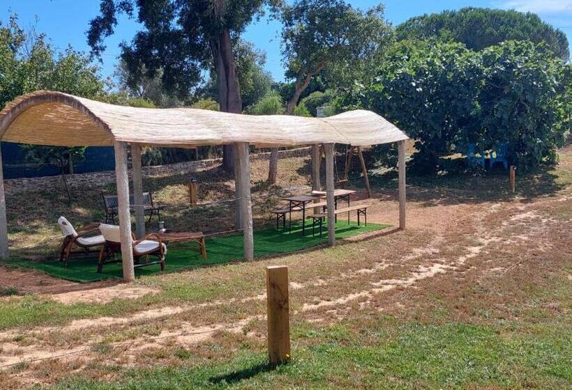 Bed and Breakfast Monte Do Sol