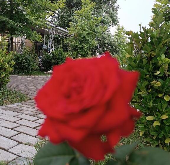 هتل Gabala Vandam Bliss