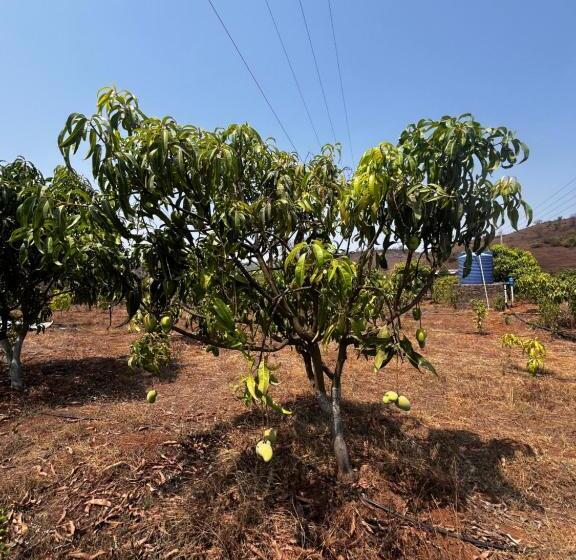 酒店 Red Soil Farm Agro Tourism