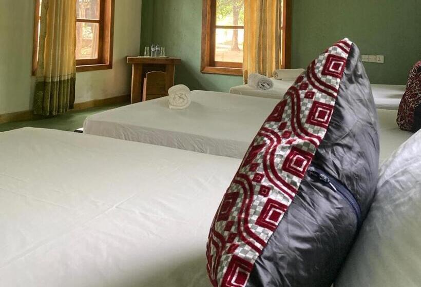 Hotel Sigiri Treehouse