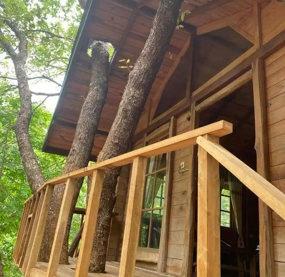 ホテル Sigiri Treehouse