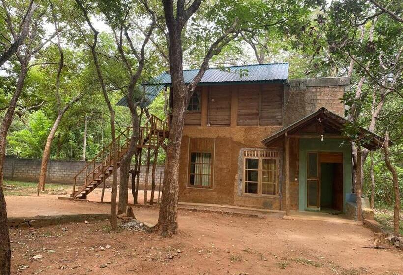 Hotel Sigiri Treehouse