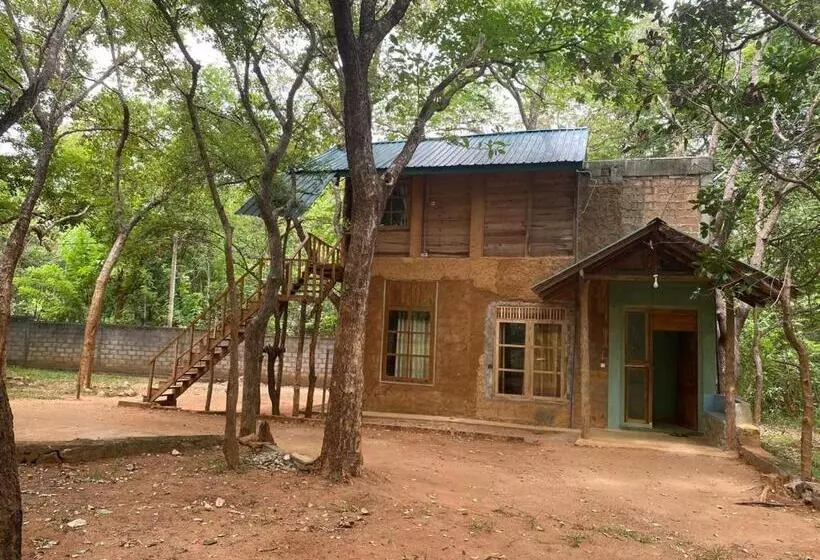 ホテル Sigiri Treehouse