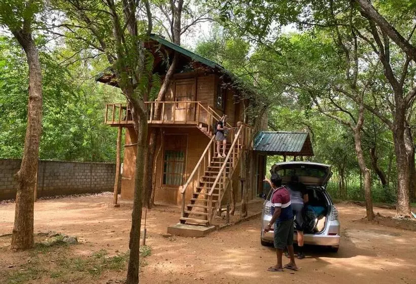 ホテル Sigiri Treehouse