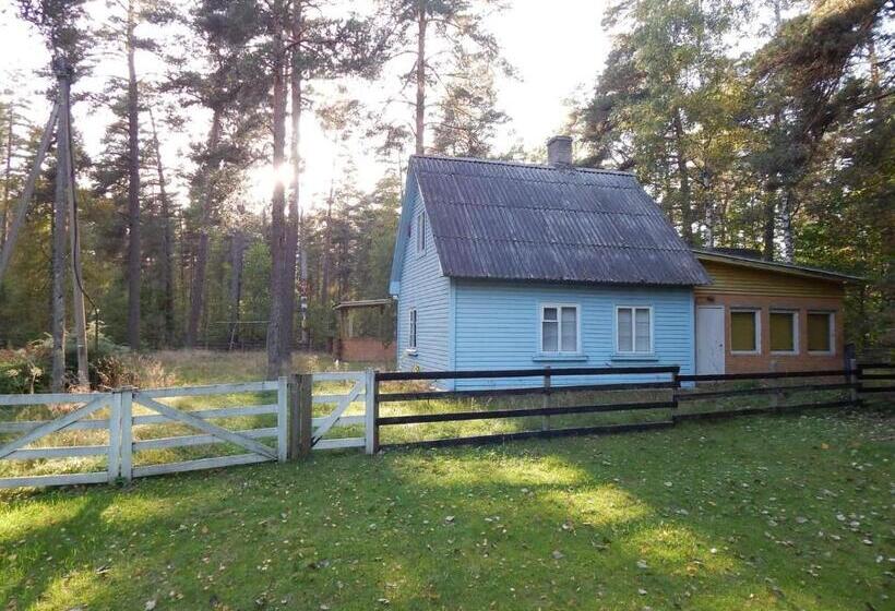 پانسیون Järveääre Majutus