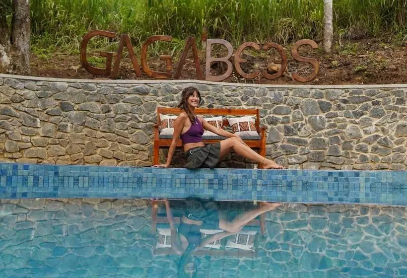 Lomakeskus Gaga Bees Ella